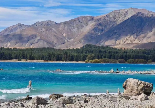 新西兰八大留学费用