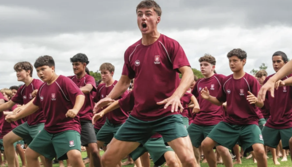 新西兰高中介绍