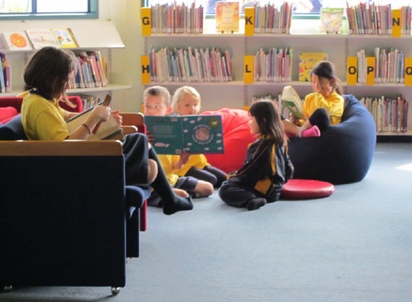 新西兰小学介绍-Primary School