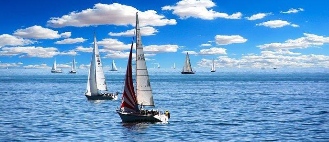 新西兰热门专业有哪些？